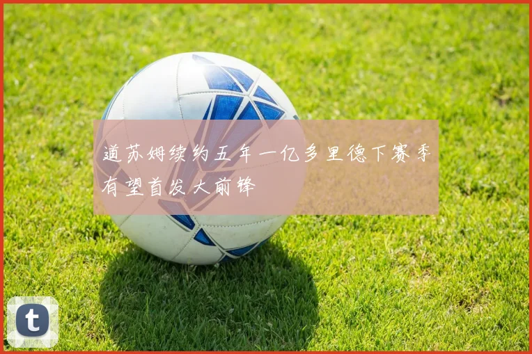 道苏姆续约五年一亿多里德下赛季有望首发大前锋