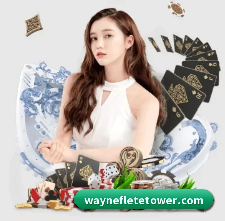 aoa网页版入口 APP 界面